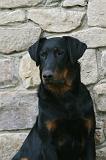 BEAUCERON 970